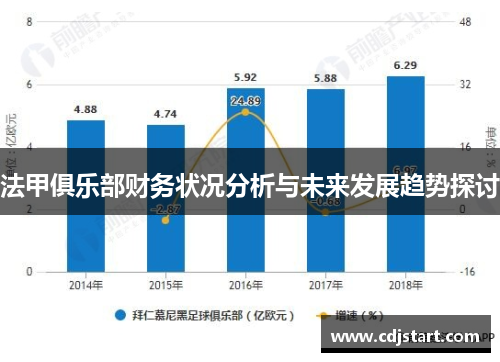 法甲俱乐部财务状况分析与未来发展趋势探讨