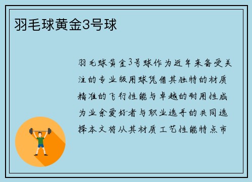 羽毛球黄金3号球